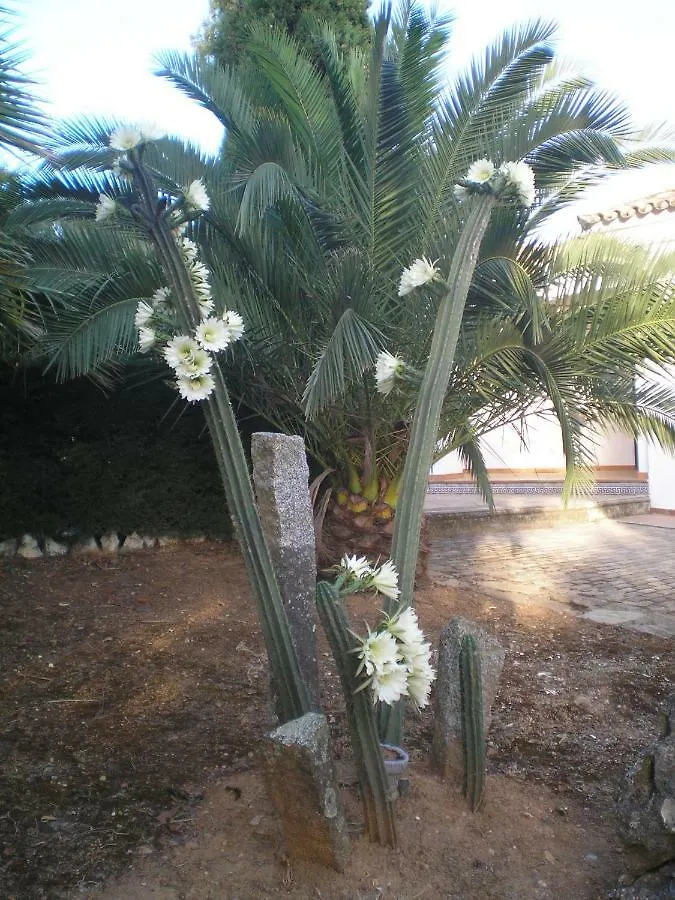 Villa Casas del Madroño Cazalla de la Sierra